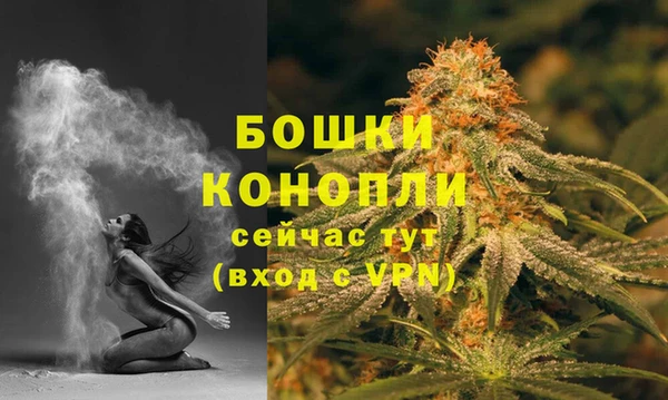 СК Вяземский