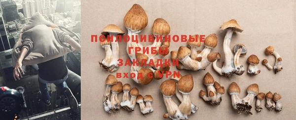 прущая мука Волоколамск