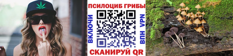 Псилоцибиновые грибы прущие грибы  цены   Злынка 